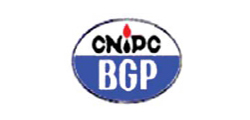 CNIDC BGP