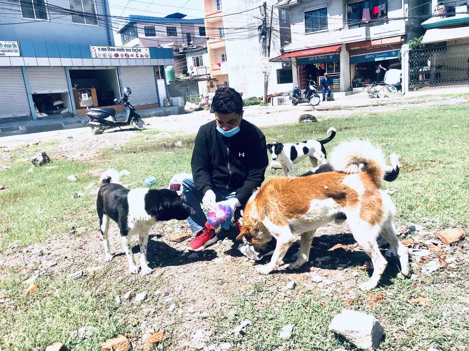 Food distribution for street dog covid-19  lock down time