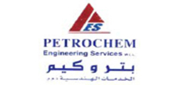 Petrochem Engineering Services